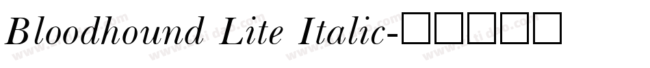 Bloodhound Lite Italic字体转换